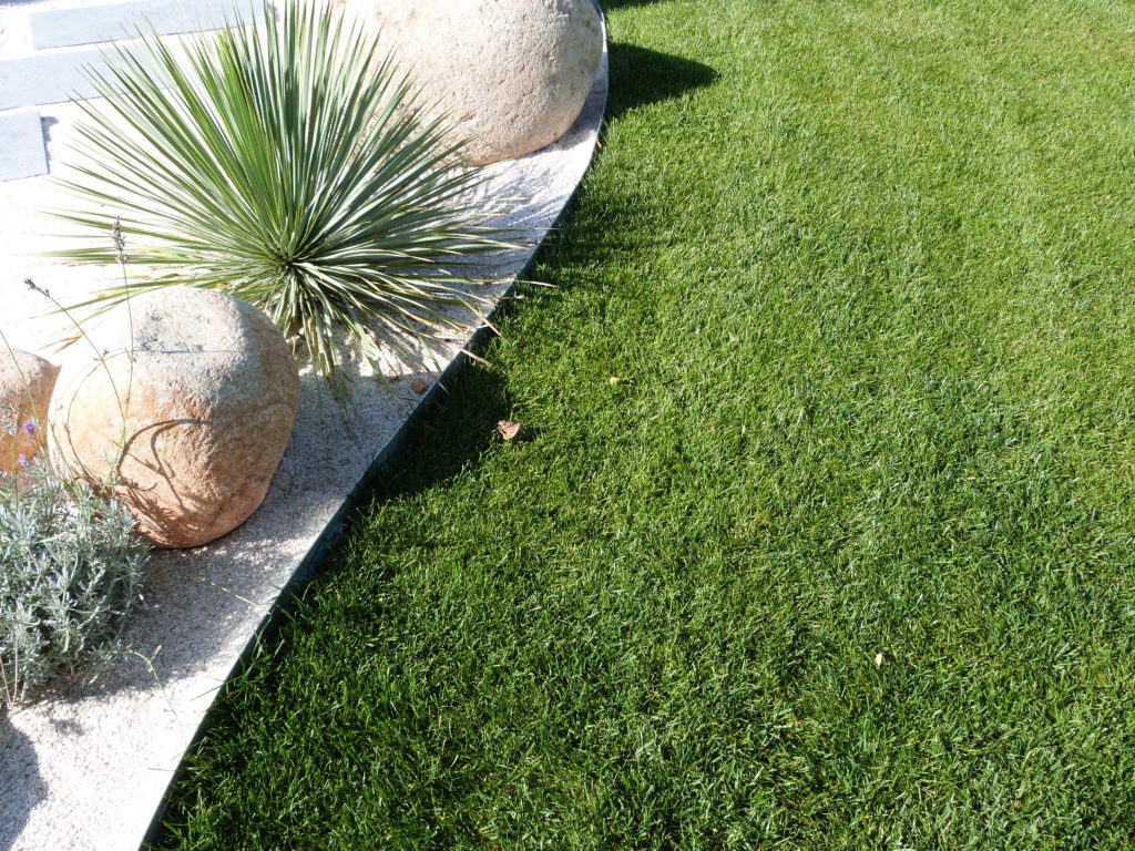 gazon en plaque