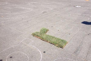 GreenWeek-CreationCollective-3